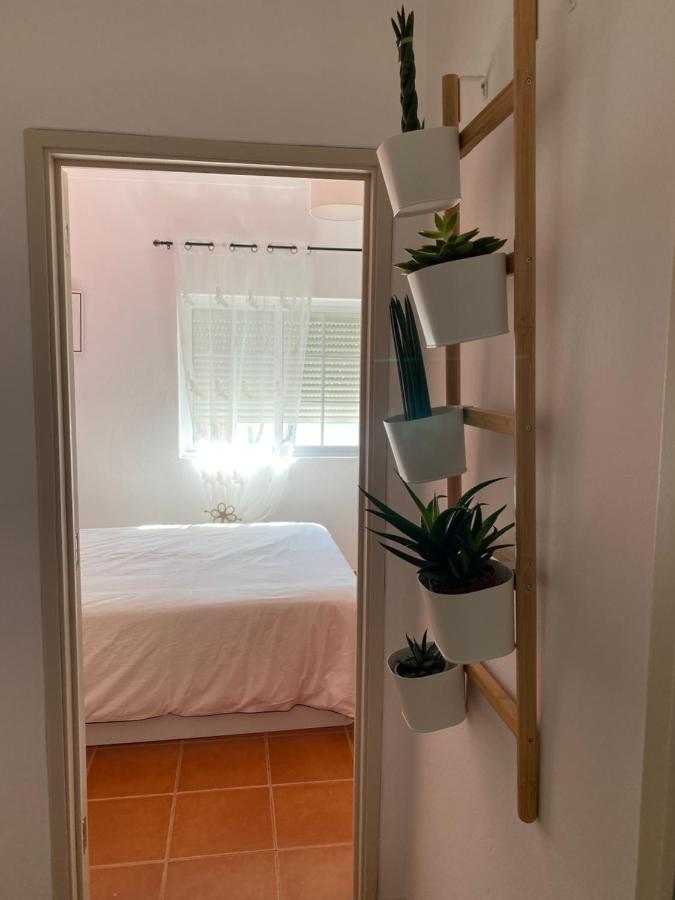 Appartamento Apartamento Vicentino Vila Nova de Milfontes Esterno foto